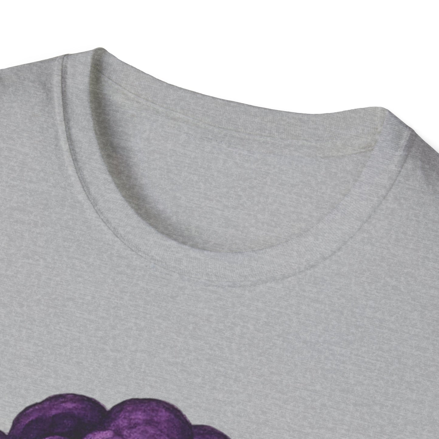 Storm Cloud Collection | Tempest