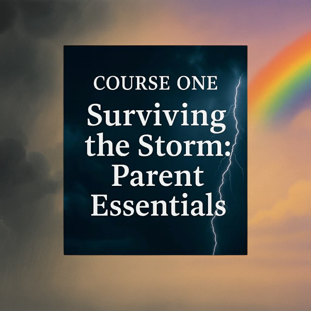 Book cover of 'Surviving the Storm: Parent Essentials' with a stormy sky and rainbow background. From the Storm Mosquitos